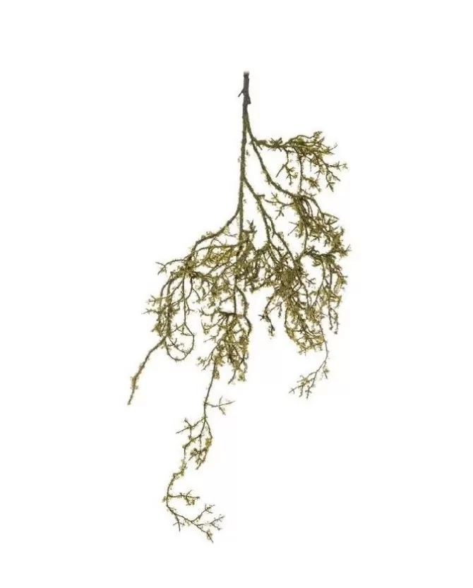 Addobbo Radice Muschiata 109Cm Per Decorazioni Di Natale>ARPIMEX Hot