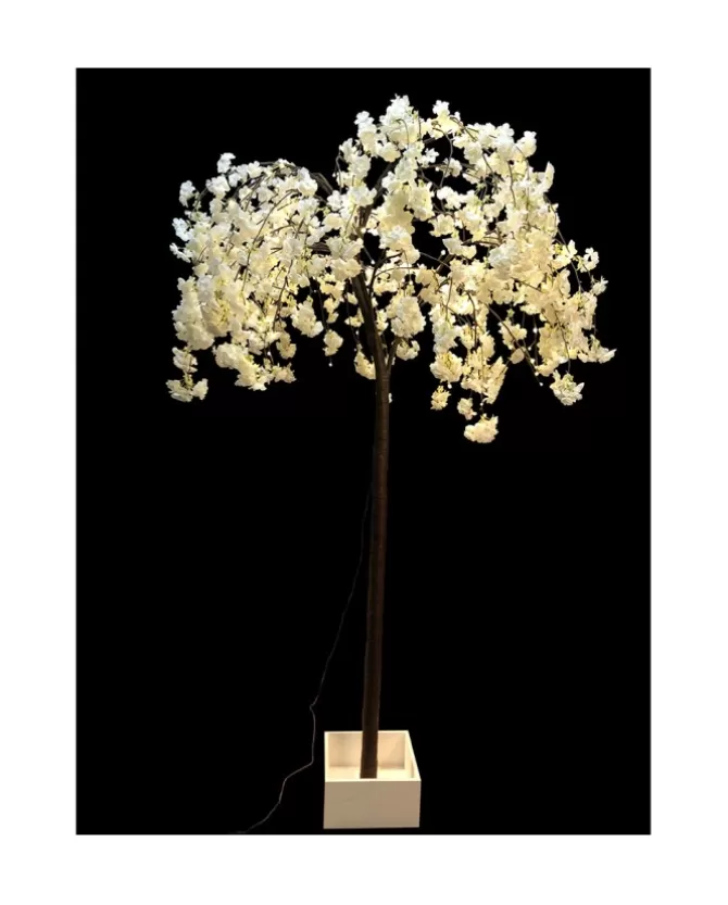 Decorazione Luminosa Albero Di Ciliegio In Fiore>TIMSTOR Best Sale