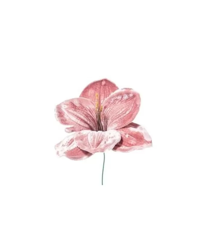 Pick Amaryllis Deluxe Velvet 23Cm Malva Per Decorazioni Di Natale>ARPIMEX Best Sale
